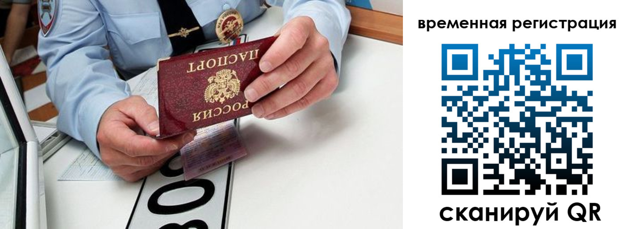 прописка гарантия в Шебекино